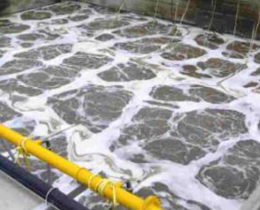 Aeration tank
